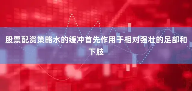 股票配资策略水的缓冲首先作用于相对强壮的足部和下肢