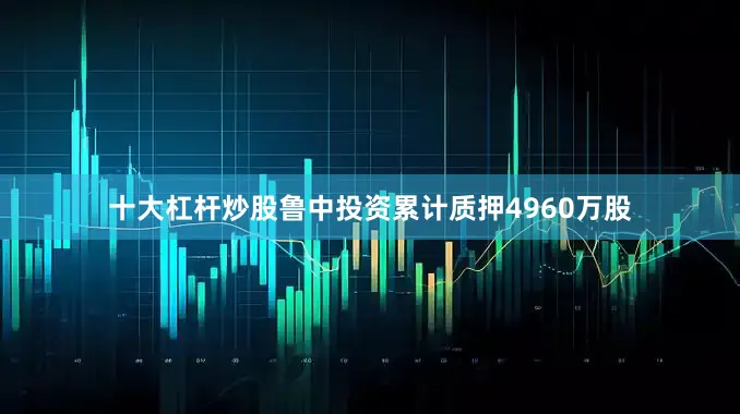 十大杠杆炒股鲁中投资累计质押4960万股