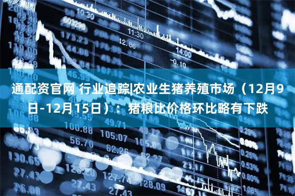 通配资官网 行业追踪|农业生猪养殖市场（12月9日-12月15日）：猪粮比价格环比略有下跌