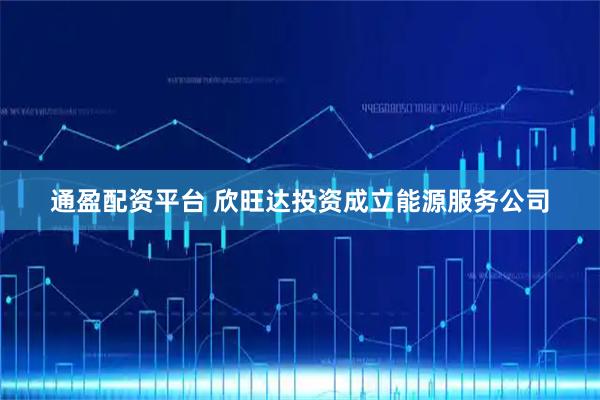 通盈配资平台 欣旺达投资成立能源服务公司
